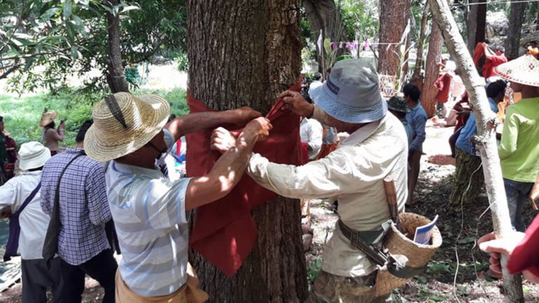 ၵေႃႁူမ်ႈသၢင်ႈ ၸဝ်ႈႁႆႈၸဝ်ႈၼႃးၸိုင်ႈတႆး Holding a forest conservation ceremony in Moene 5 ၵေႃႁူမ်ႈသၢင်ႈ ၸဝ်ႈႁႆႈၸဝ်ႈၼႃးၸိုင်ႈတႆး shan farmers mong nai july 2017 5